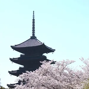 Sakura Tsubaki Kyōto